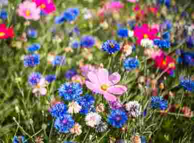 Garden Weddings Farmhouse And Barns8